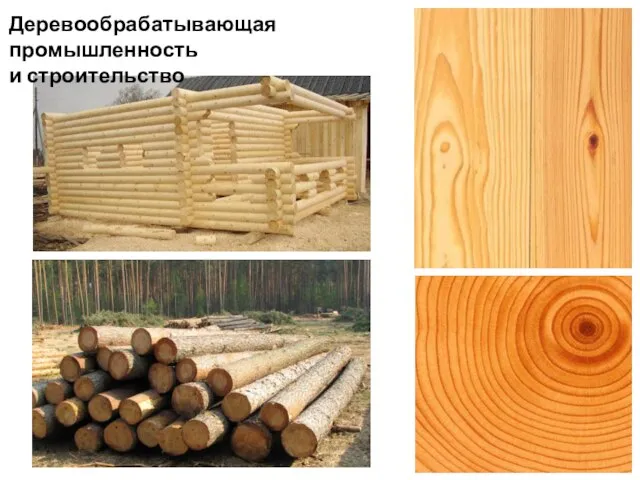 Деревообрабатывающая промышленность и строительство