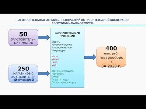 ЗАГОТОВИТЕЛЬНАЯ ОТРАСЛЬ ПРЕДПРИЯТИЙ ПОТРЕБИТЕЛЬСКОЙ КООПЕРАЦИИ РЕСПУБЛИКИ БАШКОРТОСТАН 50 ЗАГОТОВИТЕЛЬНЫХ ПУНКТОВ 400 млн.