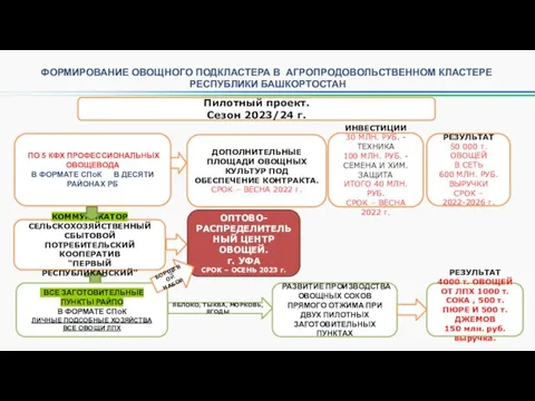 ФОРМИРОВАНИЕ ОВОЩНОГО ПОДКЛАСТЕРА В АГРОПРОДОВОЛЬСТВЕННОМ КЛАСТЕРЕ РЕСПУБЛИКИ БАШКОРТОСТАН Пилотный проект. Сезон 2023/24