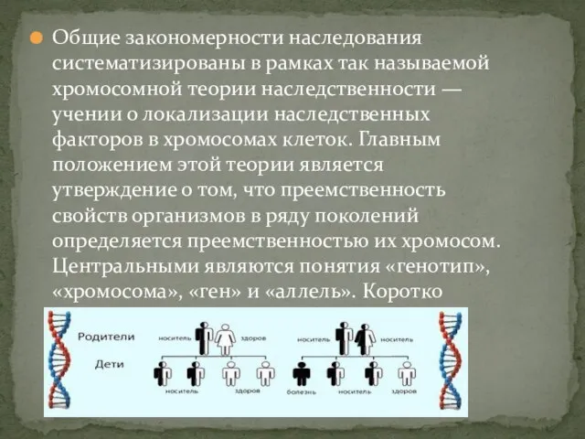 Общие закономерности наследования систематизированы в рам­ках так называемой хромосомной теории наследственности —