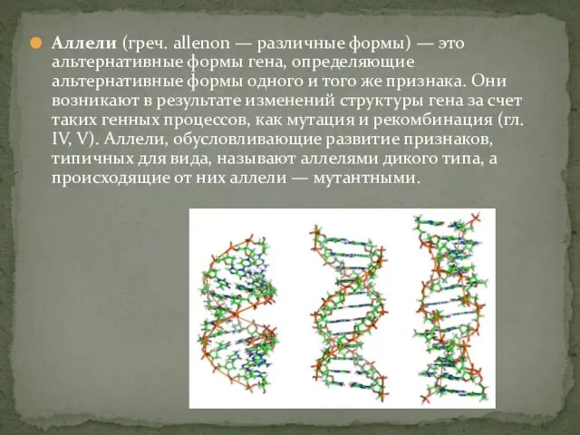 Аллели (греч. allenon — различные формы) — это альтернативные формы гена, определяющие