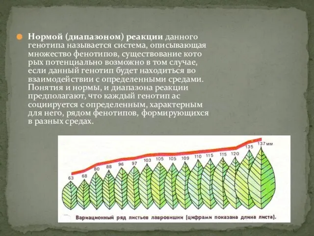 Нормой (диапазоном) реакции данного генотипа называется система, описывающая множество фенотипов, существование кото­рых