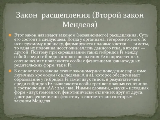 Этот закон называют законом (независимого) расщепления. Суть его состоит в следующем. Когда