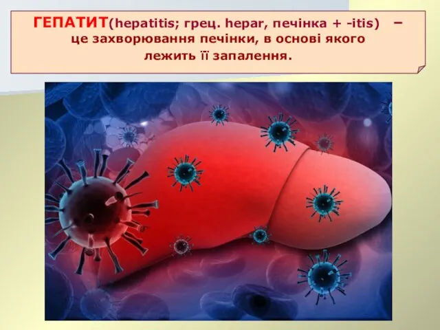 ГЕПАТИТ(hepatitis; грец. hepar, печінка + -itis) – це захворювання печінки, в основі якого лежить її запалення.