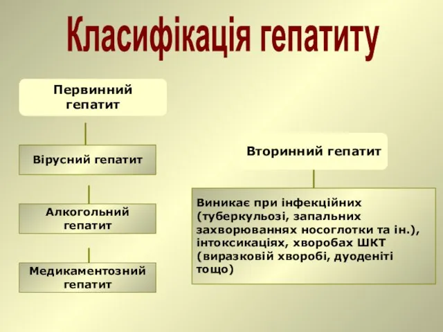 Класифікація гепатиту Первинний гепатит Вірусний гепатит Алкогольний гепатит Медикаментозний гепатит Вторинний гепатит