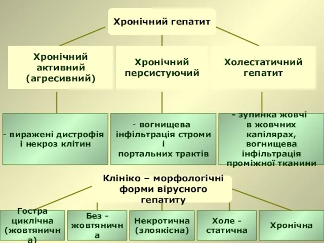 Хронічний гепатит Хронічний активний (агресивний) виражені дистрофія і некроз клітин Хронічний персистуючий