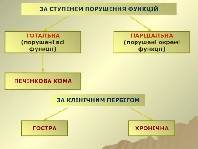 ЗА СТУПЕНЕМ ПОРУШЕННЯ ФУНКЦІЙ ТОТАЛЬНА (порушені всі функції) ПАРЦІАЛЬНА (порушені окремі функції)