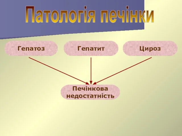 Патологія печінки Гепатит Цироз Гепатоз Печінкова недостатність