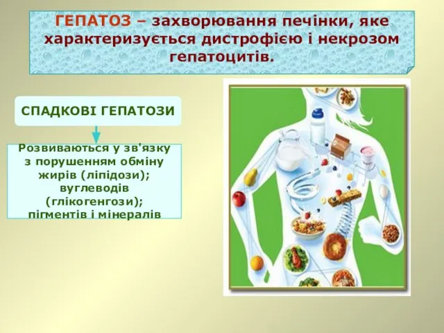 ГЕПАТОЗ – захворювання печінки, яке характеризується дистрофією і некрозом гепатоцитів. СПАДКОВІ ГЕПАТОЗИ