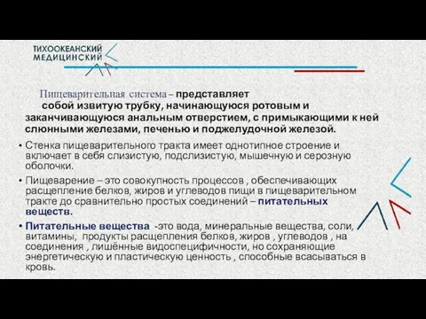 Пищеварительная система – представляет собой извитую трубку, начинающуюся ротовым и заканчивающуюся анальным