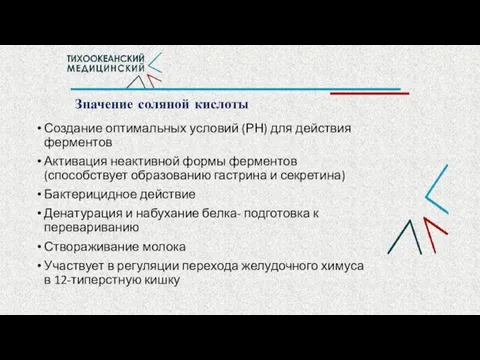 Значение соляной кислоты Создание оптимальных условий (РН) для действия ферментов Активация неактивной