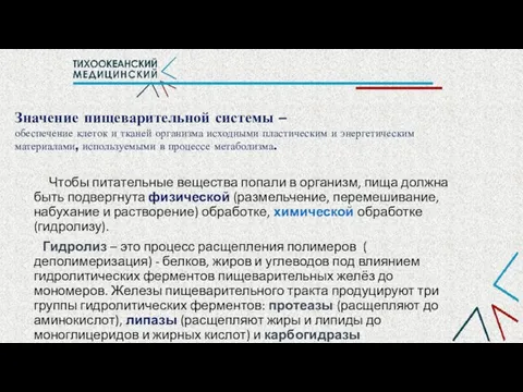 Значение пищеварительной системы – обеспечение клеток и тканей организма исходными пластическим и