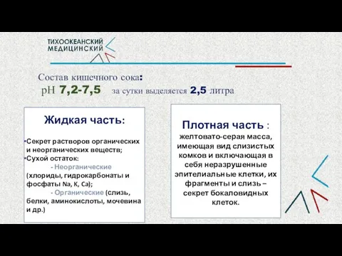 Состав кишечного сока: рН 7,2-7,5 за сутки выделяется 2,5 литра Жидкая часть: