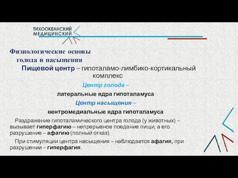 Физиологические основы голода и насыщения Пищевой центр – гипоталамо-лимбико-кортикальный комплекс Центр голода