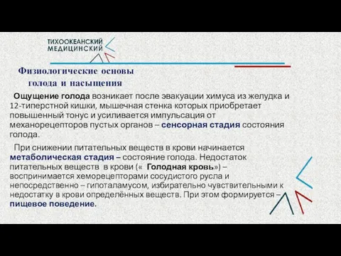 Физиологические основы голода и насыщения Ощущение голода возникает после эвакуации химуса из