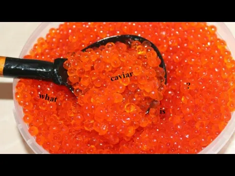 what is caviar ?