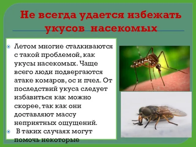 Не всегда удается избежать укусов насекомых Летом многие сталкиваются с такой проблемой,