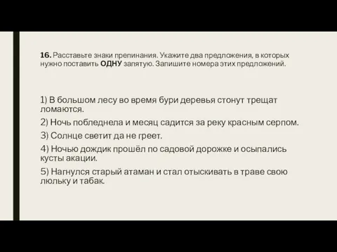 16. Расставьте знаки препинания. Укажите два предложения, в которых нужно поставить ОДНУ