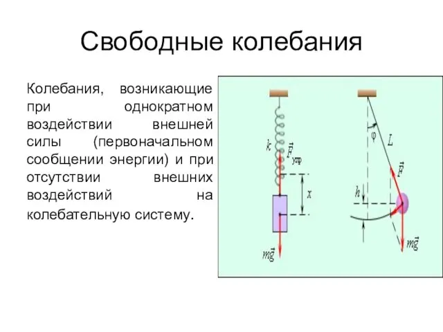 Свободные колебания Колебания, возникающие при однократном воздействии внешней силы (первоначальном сообщении энергии)