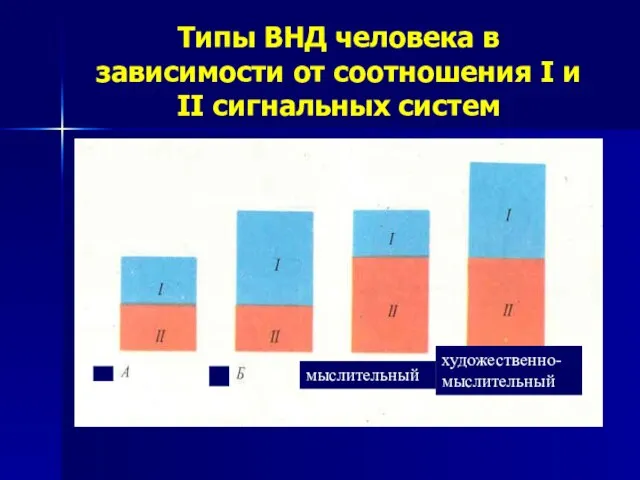 Типы ВНД человека в зависимости от соотношения I и II сигнальных систем средний художественный мыслительный художественно-мыслительный