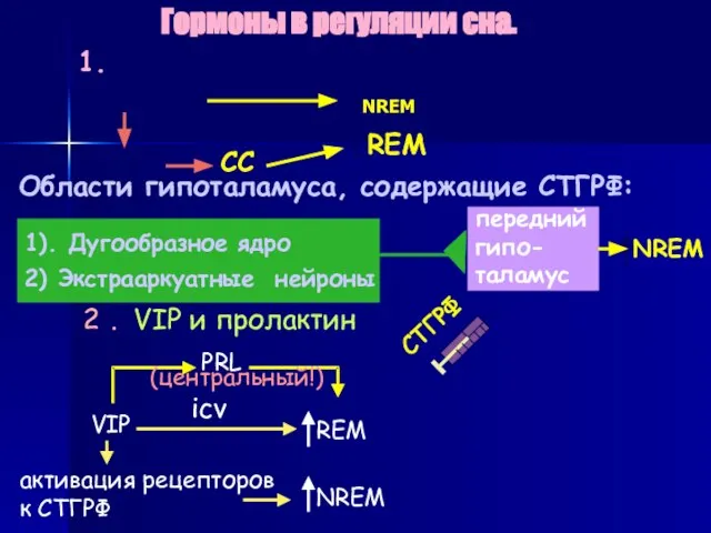 передний гипо- таламус Гормоны в регуляции сна. 1. СТГ-СТГРФ система. СТГРФ Области