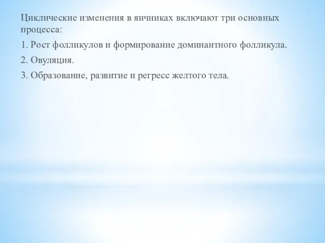 Циклические изменения в яичниках включают три основных процесса: 1. Рост фолликулов и