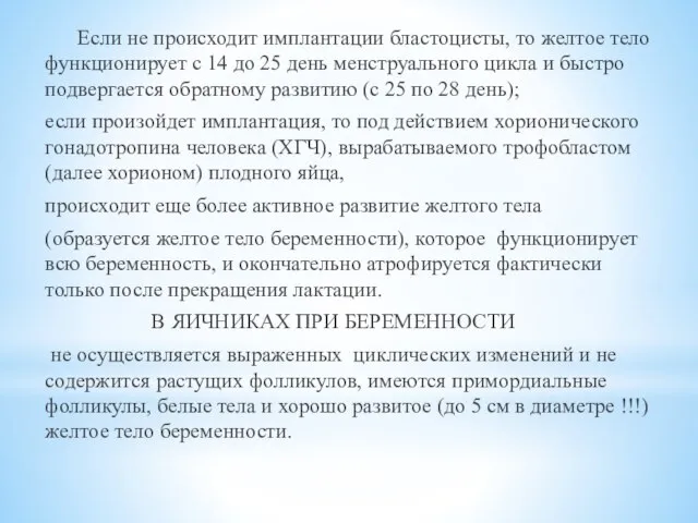 Если не происходит имплантации бластоцисты, то желтое тело функционирует с 14 до