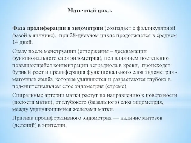 Маточный цикл. Фаза пролиферации в эндометрии (совпадает с фолликулярной фазой в яичнике),