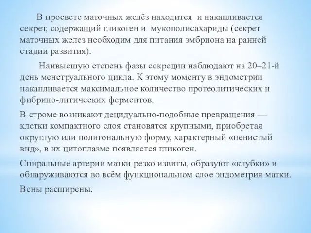 В просвете маточных желёз находится и накапливается секрет, содержащий гликоген и мукополисахариды