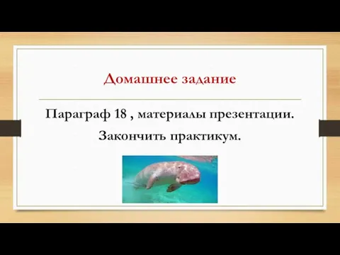 Домашнее задание Параграф 18 , материалы презентации. Закончить практикум.