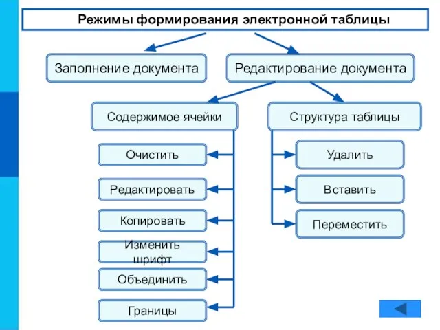 Режимы формирования электронной таблицы Заполнение документа Редактирование документа Содержимое ячейки Структура таблицы