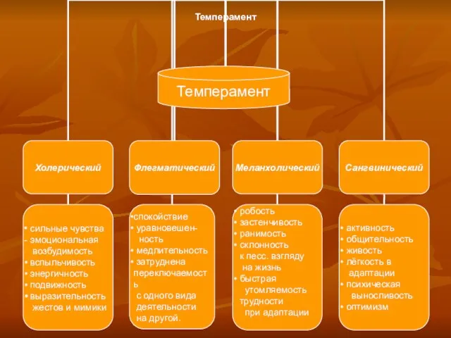 Темперамент Темперамент