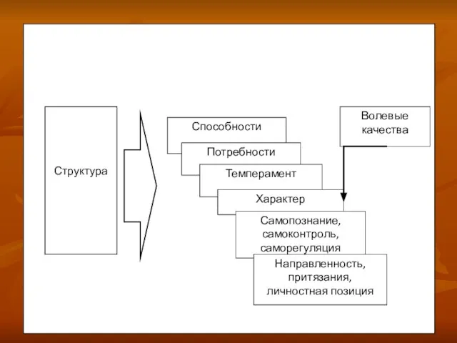 Структура личности Структура личности Способности Потребности Темперамент Характер Волевые качества Самопознание, самоконтроль,