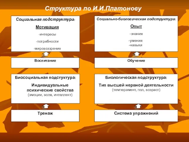 Структура по И.И.Платонову Социальная подструктура: Мотивация -интересы -потребности -мировоззрение Социально-биологическая подструктура: Опыт