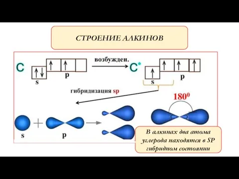 СТРОЕНИЕ АЛКИНОВ В алкинах два атома углерода находятся в SP гибридном состоянии