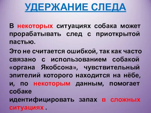 УДЕРЖАНИЕ СЛЕДА В некоторых ситуациях собака может прорабатывать след с приоткрытой пастью.