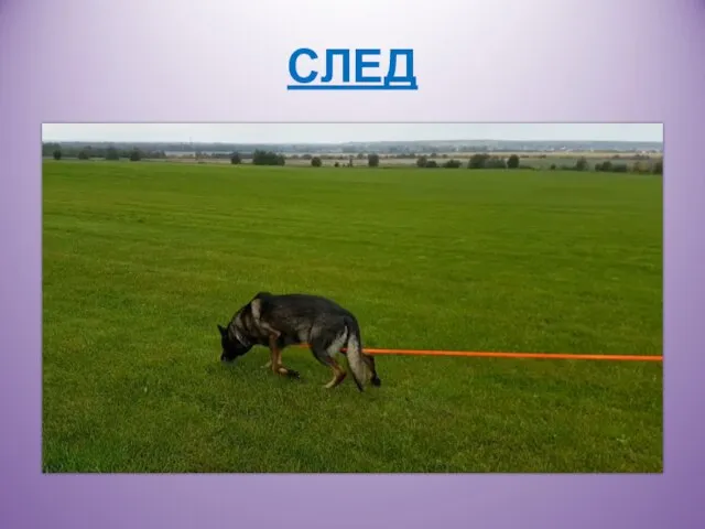 СЛЕД