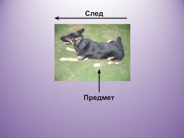 След Предмет