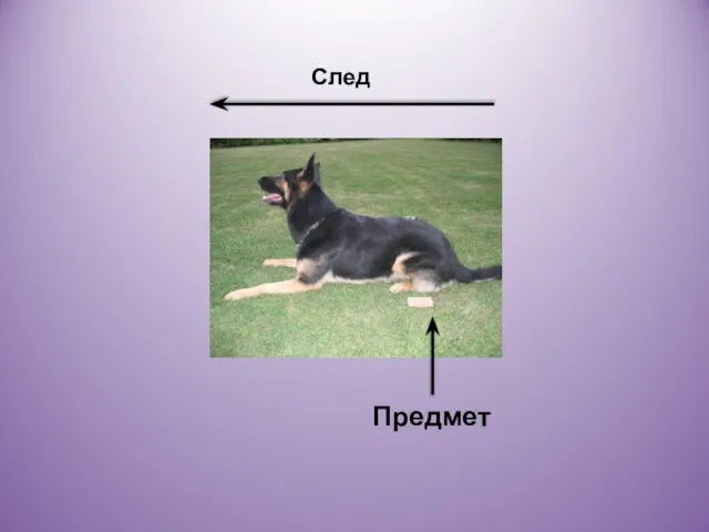 След Предмет