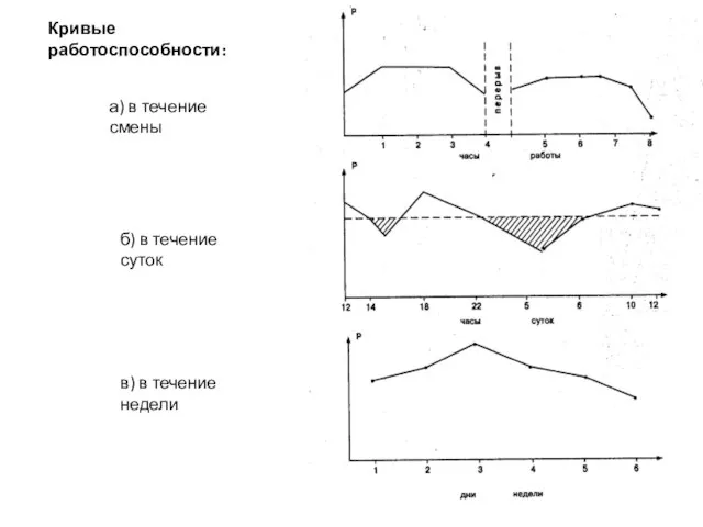 Кривые работоспособности: а) в течение смены б) в течение суток в) в течение недели