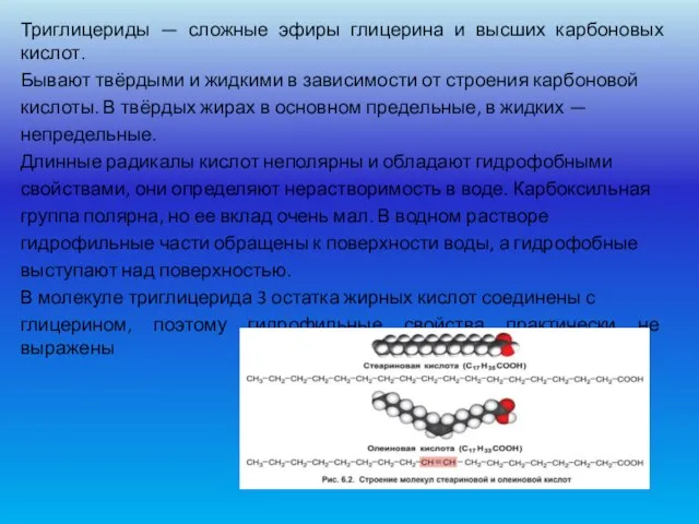 Триглицериды — сложные эфиры глицерина и высших карбоновых кислот. Бывают твёрдыми и