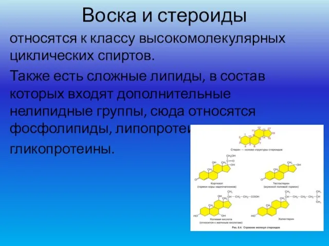 Воска и стероиды относятся к классу высокомолекулярных циклических спиртов. Также есть сложные