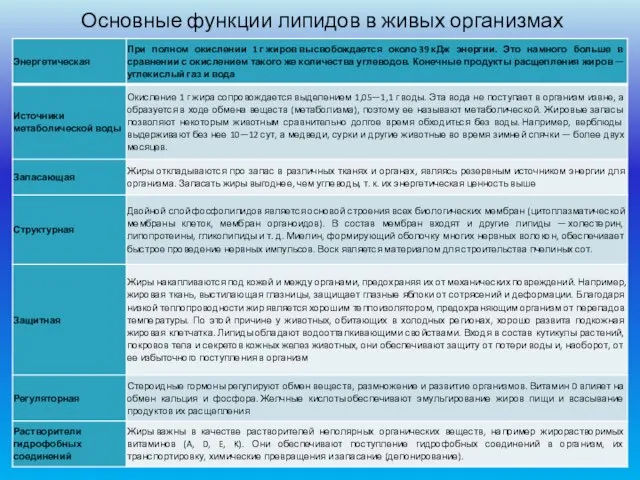 Основные функции липидов в живых организмах