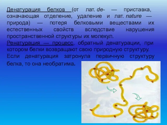 Денатурация белков (от лат. de- — приставка, означающая отделение, удаление и лат.