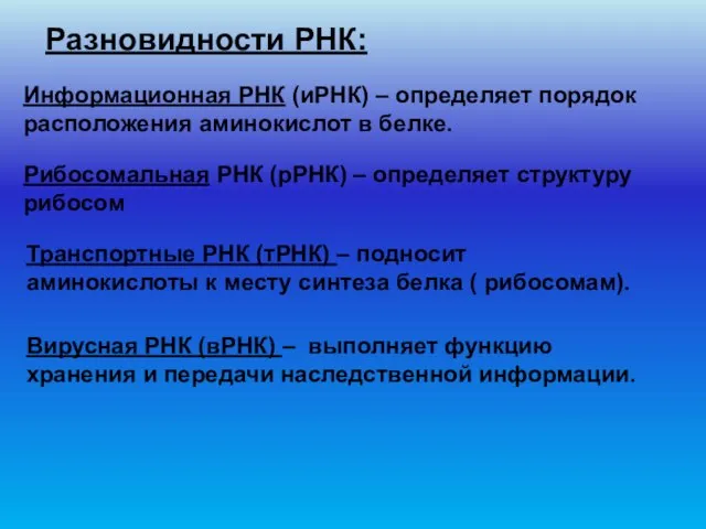 Разновидности РНК: Информационная РНК (иРНК) – определяет порядок расположения аминокислот в белке.