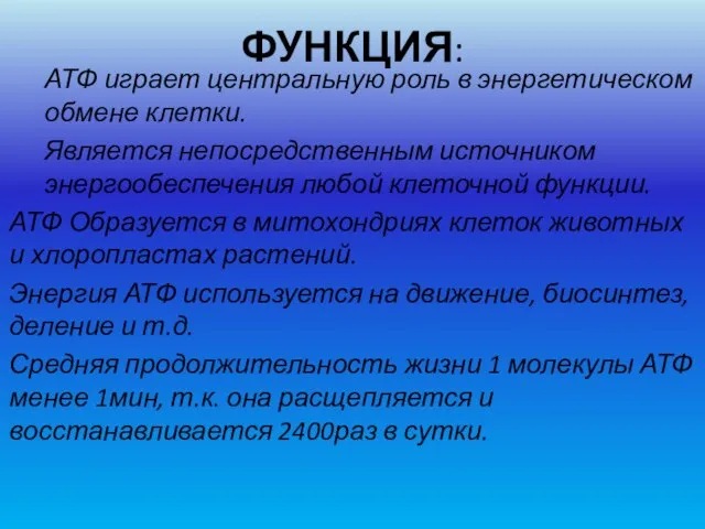 ФУНКЦИЯ: АТФ играет центральную роль в энергетическом обмене клетки. Является непосредственным источником