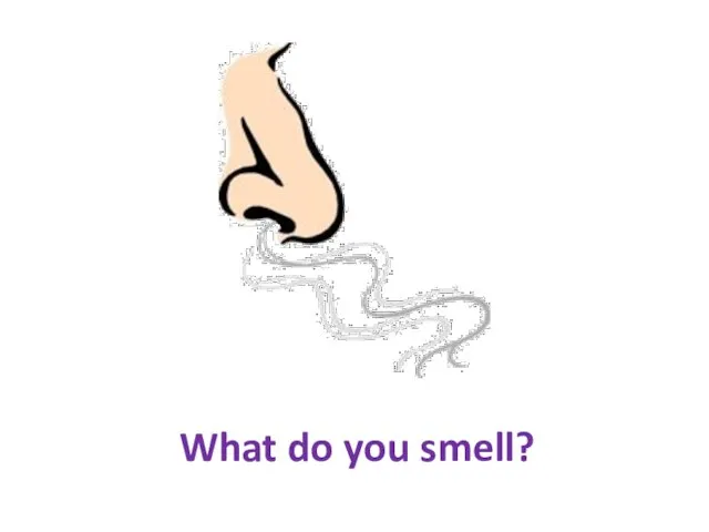 What do you smell?