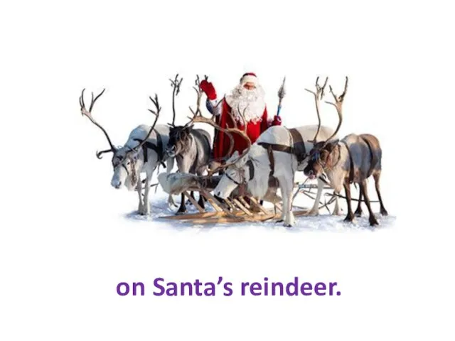 on Santa’s reindeer.