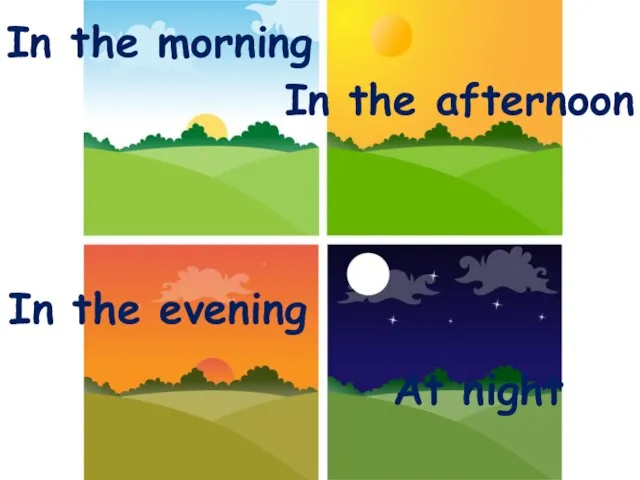 In the morning In the afternoon In the evening At night