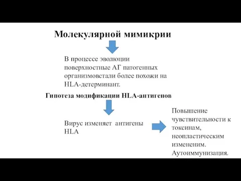 Молекулярной мимикрии В процессе эволюции поверхностные АГ патогенных организмовстали более похожи на